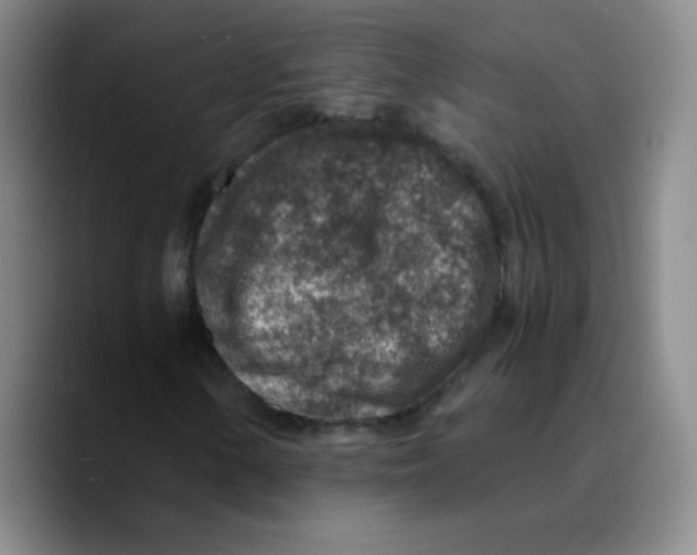 X0000089711154200707201755