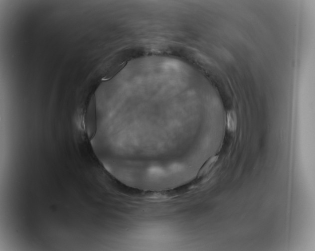 X0000089711155200707201755