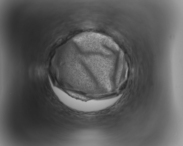 X0000089711157200707201755
