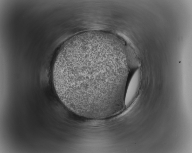 X0000089711163200707201755