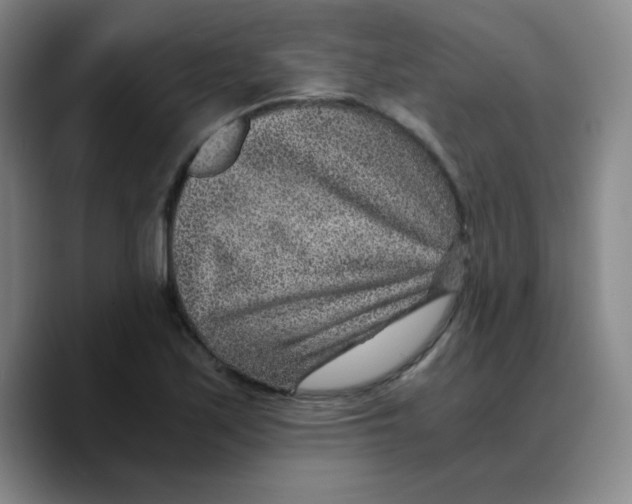 X0000089711171200707201754
