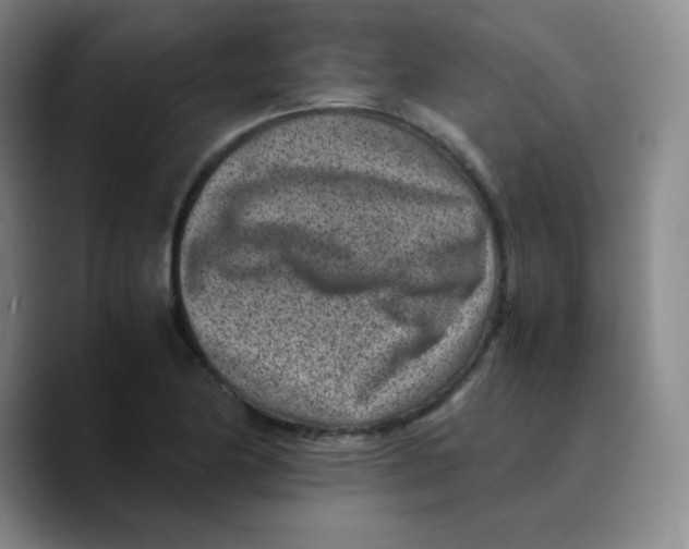X0000089711174200707201754