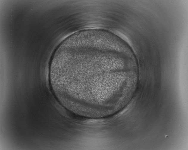X0000089711179200707201754