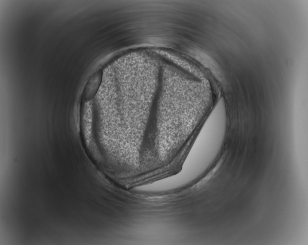 X0000089711180200707201754