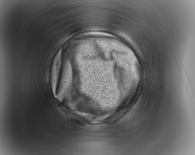 X0000089711185200707201754