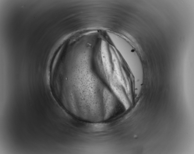 X0000089711188200707201754