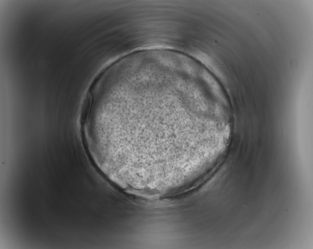 X0000089711189200707201754