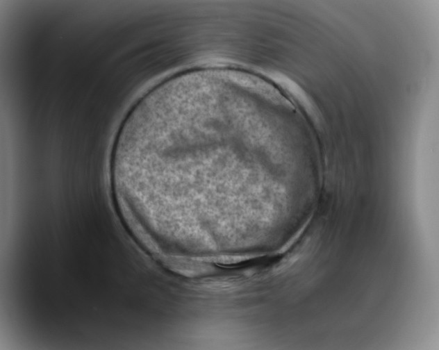 X0000089711191200707201754
