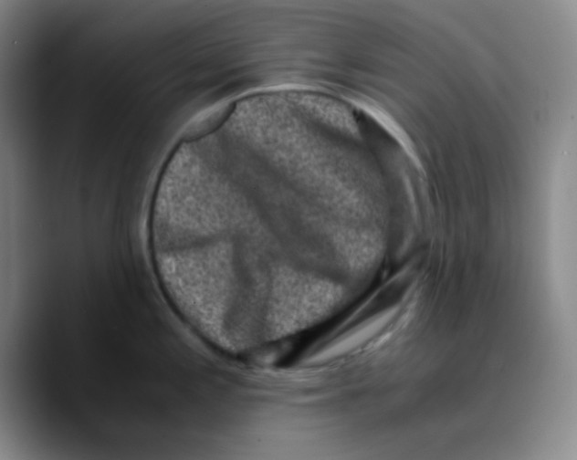 X0000089711197200707201754