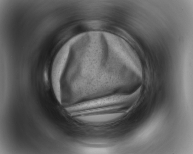 X0000089711198200707201754