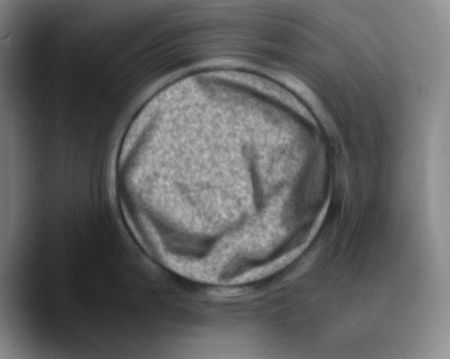X0000089711199200707201754