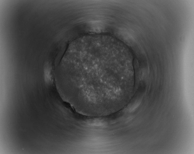 X0000089711202200707201753