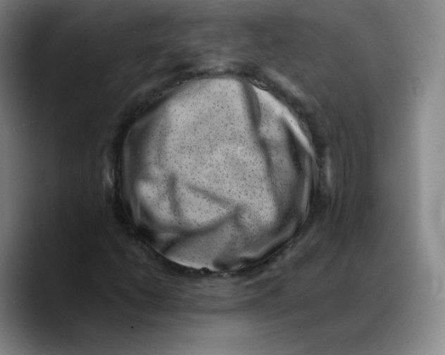 X0000089711206200707201753