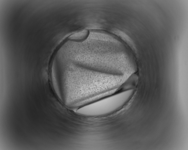 X0000089711212200707201754