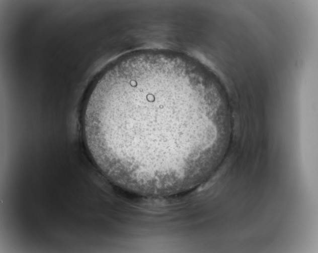 X0000089711215200707201754