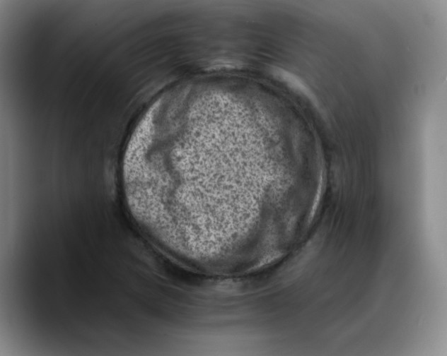 X0000089711217200707201754