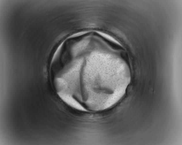 X0000089711218200707201754