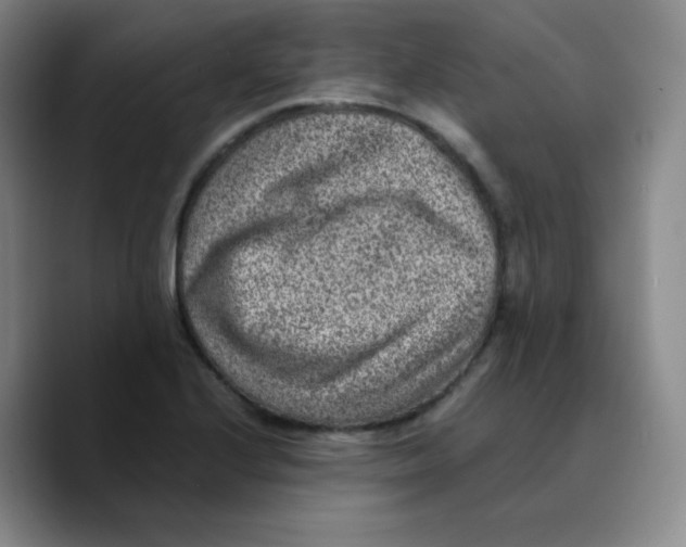 X0000089711224200707201754