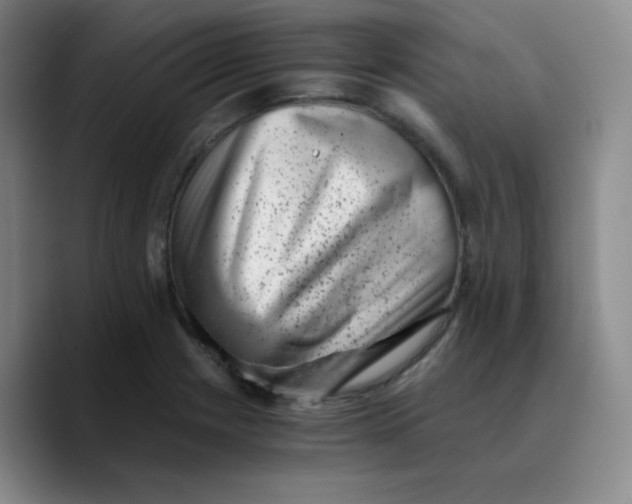 X0000089711225200707201754