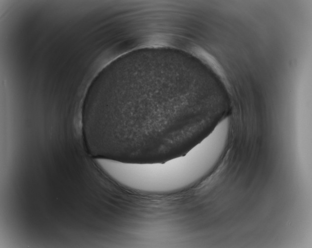 X0000089711226200707201754