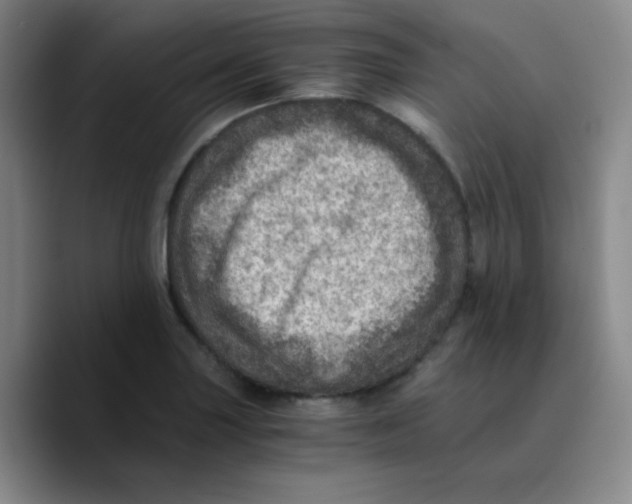 X0000089711227200707201754