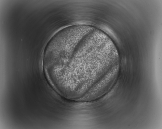 X0000089711228200707201754