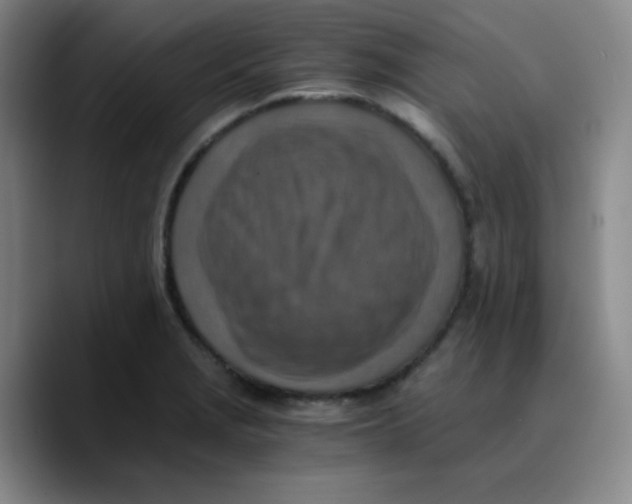 X0000089711229200707201754