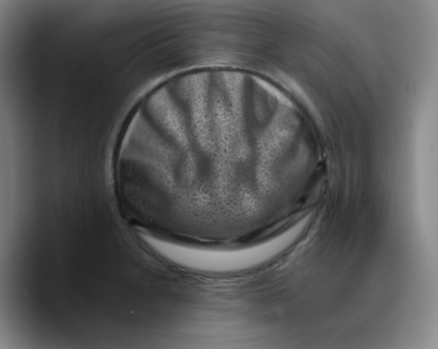 X0000089711230200707201754