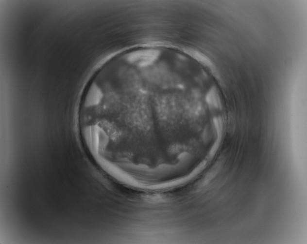 X0000089711231200707201754