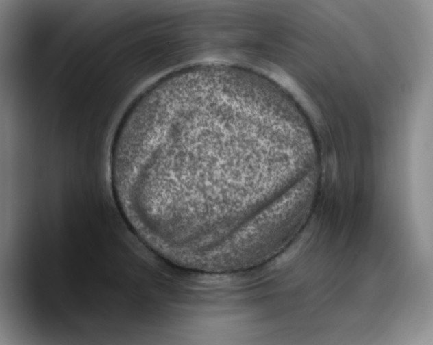 X0000089711232200707201754