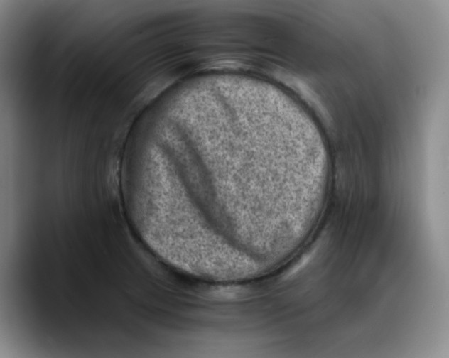X0000089711233200707201754