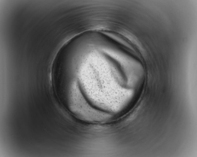 X0000089711234200707201754