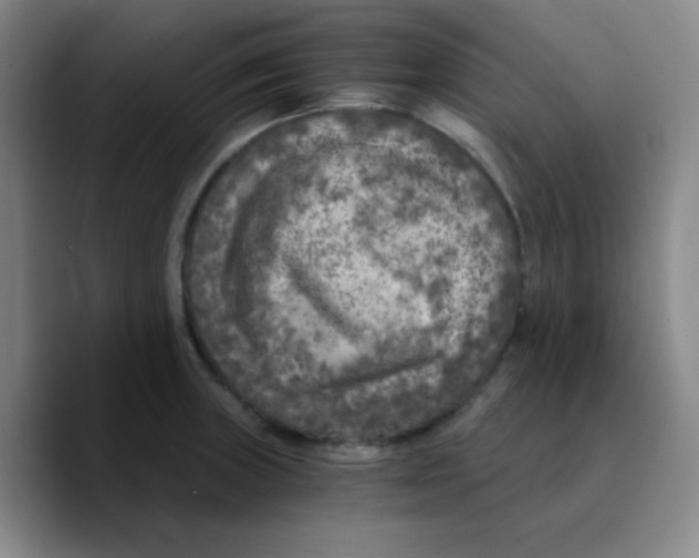 X0000089711235200707201754