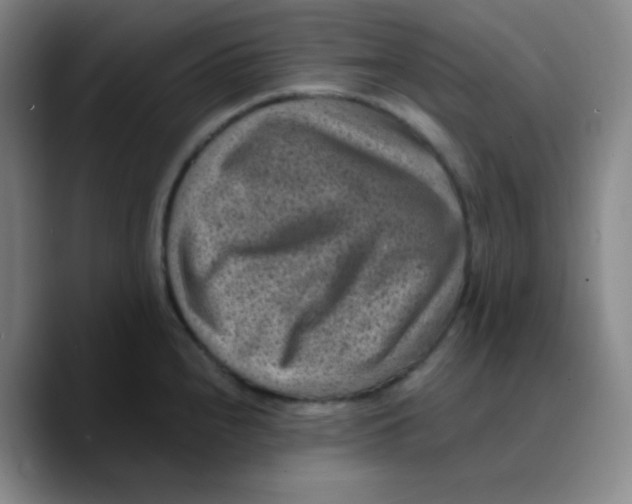 X0000089711240200707201754