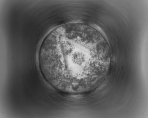 X0000089711243200707201754