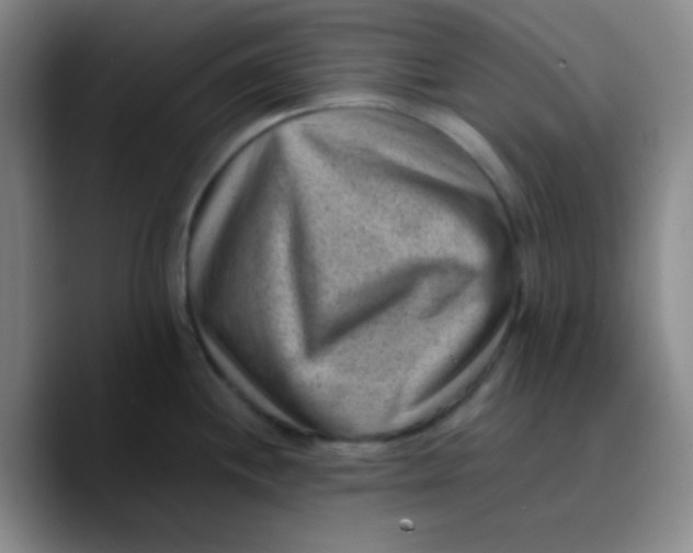 X0000089711244200707201754