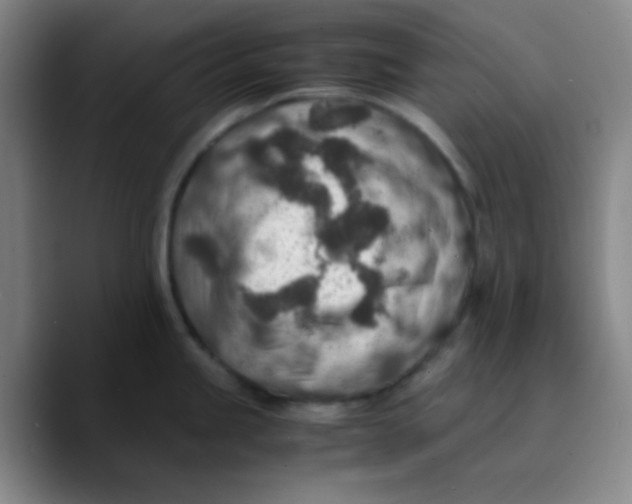 X0000089711245200707201754
