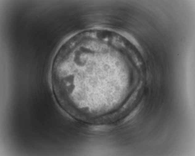 X0000089711247200707201754