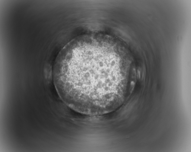 X0000089711251200707201753