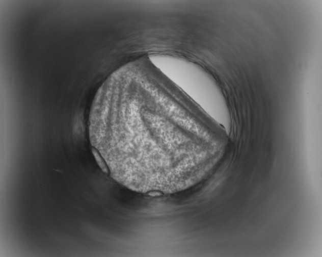 X0000089711252200707201753