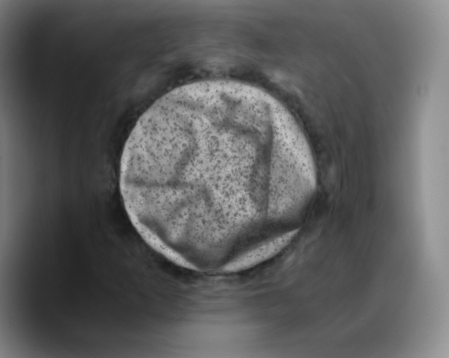 X0000089711253200707201753