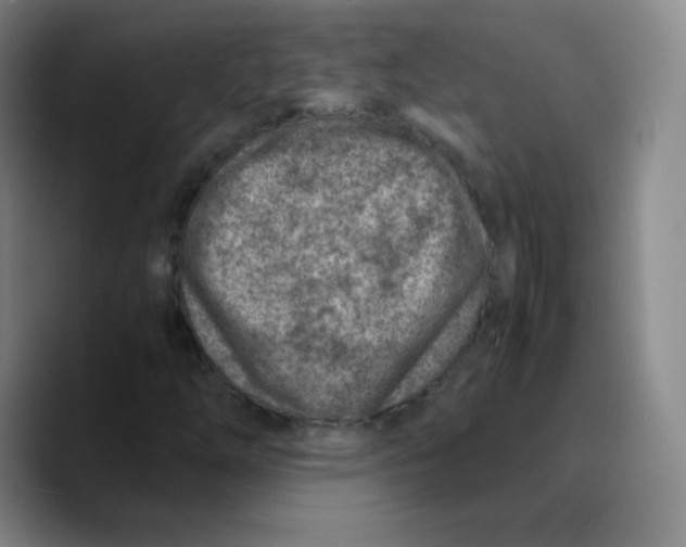 X0000089711254200707201753