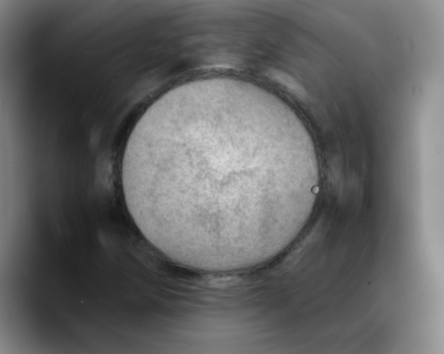 X0000089711258200707201753