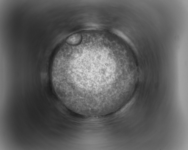 X0000089711259200707201753