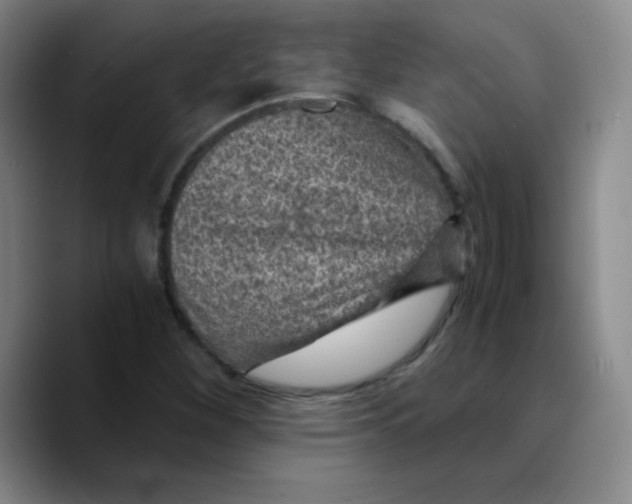 X0000089711260200707201753