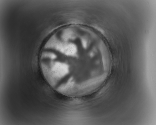 X0000089711263200707201753