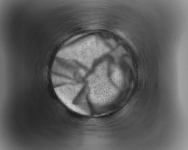 X0000089711265200707201753