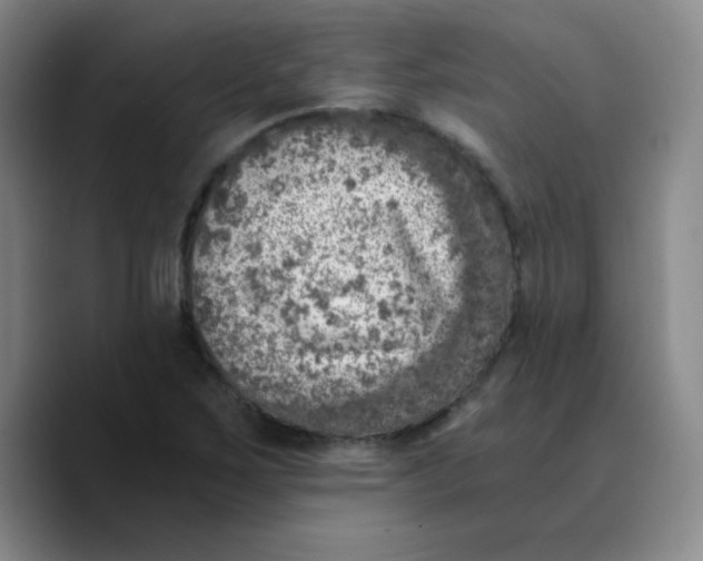 X0000089711267200707201753