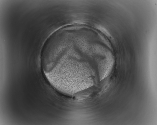 X0000089711268200707201753