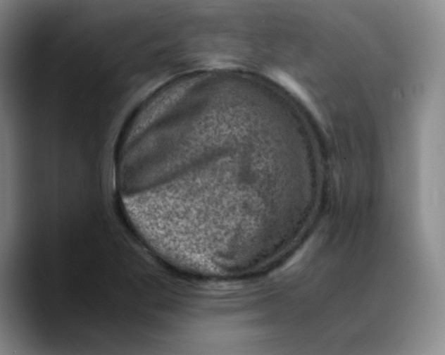 X0000089711269200707201753